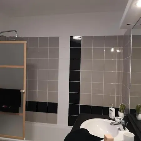Ferienwohnung T2 Avec Jardin Proche Aeroport, Airbus, Meet Daux Exterior foto