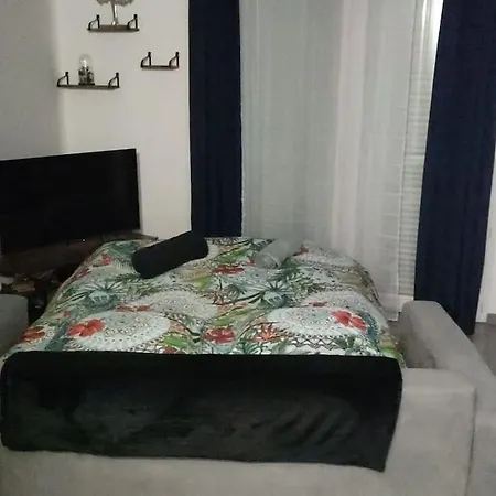 Ferienwohnung T2 Avec Jardin Proche Aeroport, Airbus, Meet Daux Exterior foto