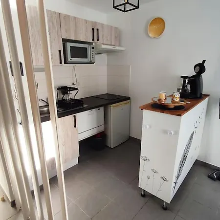 Ferienwohnung T2 Avec Jardin Proche Aeroport, Airbus, Meet Daux Exterior foto